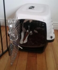 Petmate Compass Fashion Kennel Cat and Dog Kennel, 10-20 lb., Pearl White/Black, Made in USA 20.0"L x 12.5"W x 13.5"H 46 61kT5suYr9L