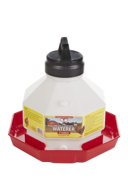 Little Giant® Plastic Poultry Waterer | Heavy Duty Plastic Gravity Fed Water Container | Easy to Fill | Snap on Jar | 3 Gallons