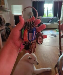 Nite Ize BigRing KeyRing Steel S-Biner - Multi Key Holder Carabiner with 8 Stainless Steel Key-Holding S-Biners - Easy-to-Use Key Organizer 25 61kWvuU2CML