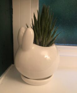 MyGift Mini Ceramic Bunny Planter, Decorative Rabbit Design White Small Flower Pot Succulent Planter with Detached Saucer 22 61khEdW5aYL
