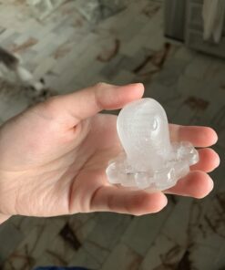 Genuine Fred COOLAMARI Octopus Ice Tray,MARI 17 61ki3BBUH0L
