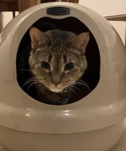 Petmate Booda Dome Cat Litter Box for Indoor Cats , Titanium, Made in USA One Size 35 61kiih1gL