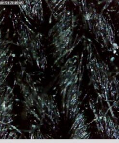 Dino Lite USB Hanheld Digital Microscope, 10x-220x Magnification 0.3MP/1.3MP/5.0MP True Resolution, Windows/Mac/iOS/Android Software Included, Supports PC, Tablet, Mobile Devices 46 61krJ4NVpL