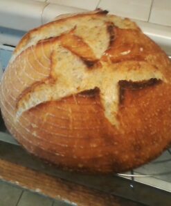 Deluxe Grain Mill, small, Silver, VKP1024 Deluxe Grain Mill 29 61ktOjMvM2L