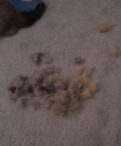 Pet Grooming Dog & Cat Brush For Shedding, Effective for Long & Short Hair Pet Grooming Tool, Reduces Dogs and Cats Shedding Hair By More Than 95%, The Professional Deshedding Tool 30 61kuSfYDBLL