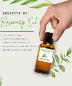 Rosemary Essential Oil - 1 fl oz - 100% Pure Essential Oil - GreenHealth Rosemary 13 61kvsoHuPeL