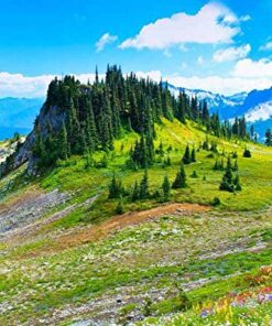 Lonely Planet USA's National Parks 35 61l3rqp9I8L