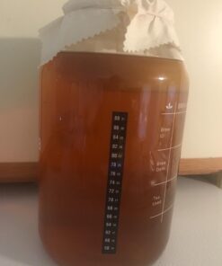 The Kombucha Shop Organic Kombucha Starter Kit - 1 Gallon Brewing Kit Includes All The Essentials Required for Brewing Kombucha At Home Regular 40 61l48yGRm8L