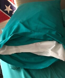 Premium BED Bugs Pillow Protector a Set of 2 Pillow Protectors (Queen (21"x"28)) Queen (21"x"28) 17 61l6XNCbZL