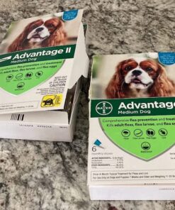 Advantage II Medium Dog Vet-Recommended Flea Treatment & Prevention | Dogs 11-20 lbs. | 6-Month Supply 6-Pack 26 61l6hrP4AoL