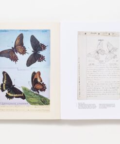 The Butterflies of North America: Titian Peale's Lost Manuscript 14 61lBVHQBTPL