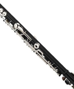 Mendini By Cecilio Flutes - Closed Hole C Flute For Beginners, 16-Key Flute with a Case, Stand, Lesson Book, and Cleaning Kit, Musical Instrument for Kids, Black Flute 15 61lEweMzbNL 1
