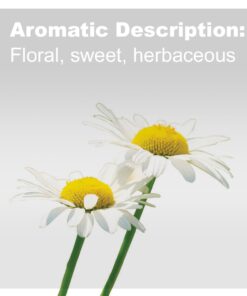doTERRA - Roman Chamomile Essential Oil - 5 mL 11 61lJwZ jxIL