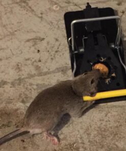 Snap-E 12-001-00-1 6 Pack Mouse Trap, Black 36 61lRGmFpfML