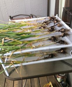 STORAGE MANIAC Sweater Drying Rack, Mesh Clothes Drying Rack, Stackable Laundry Drying Rack, Lay Flat Dryer for Delicates, Portable Dry Rack for Indoor or Outdoor, White, 2-Pack 28 61lSdR0rD8L