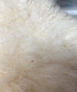 Knoblochs Deer Hunter's & Trapper's Hide & Fur Tanning Formula Multi Pack 1 26 61lW90qnAYL