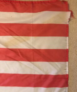 Anley Fly Breeze 3x5 Foot American US Flag - Vivid Color and UV Fade Resistant - Canvas Header and Double Stitched - USA Flags Polyester with Brass Grommets 3 X 5 Ft 3x5 Ft 31 61lXDA tICL