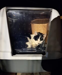 Catit Airsift Jumbo Hooded Cat Litter Pan, Warm Gray - Privacy and Easy Access for Cleaning - Ideal for Larger Cat Breeds or Multiple Cat Households 37 61lcDNtFhcL