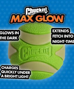 Chuckit Max Glow Paraflight Flying Disc Dog Toy, Large (9.75"), Green And White Green/Max Glow 24 61lcQ27kPL