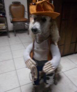 IAMS Smart Puppy Large Breed Dry Dog Food with Real Chicken, 30.6 lb. Bag 30.6 Pound (Pack of 1) 47 61lfaRhaBL