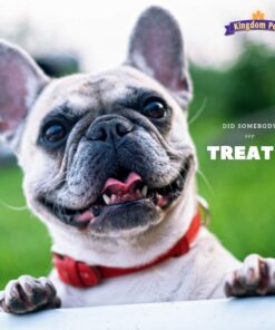 Kingdom Pets Duck Breast Jerky, Premium Treats for Dogs, 40 oz. Bag 29 61lj4RAauBL