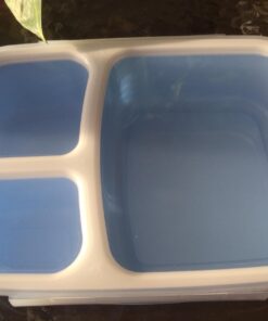Leakproof, 3 Compartment, Bento Lunch Box, Airtight Food Storage Container (1 Pc) - Blue 66 61ljA1AiZSL