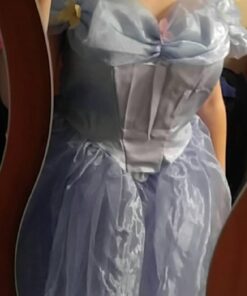 Disney Disguise Women's Cinderella Movie Adult Deluxe Costume Large Blue 26 61lmqaNEHXL