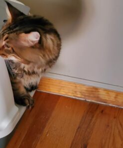 Catit Airsift Jumbo Hooded Cat Litter Pan, Warm Gray - Privacy and Easy Access for Cleaning - Ideal for Larger Cat Breeds or Multiple Cat Households 45 61loALssaVL