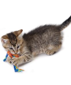 Petstages Dental Health Chews Pair Dental Chew 26 61lvg2CqaWL