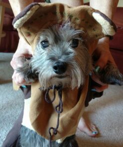 Rubie's Star Wars Ewok Pet Costume, Small S (Neck: 12", Girth: 17", Back: 11") 1 28 61m1WqmEd L