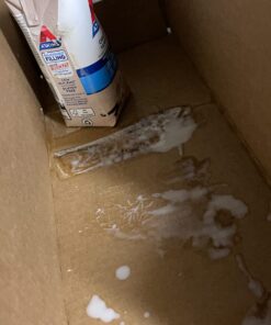 Atkins Milk Chocolate Delight Protein Shake, 15g Protein, Low Glycemic, 2g Net Carb, 1g Sugar, Keto Friendly, 12 Count 31 61m3J PdhzL