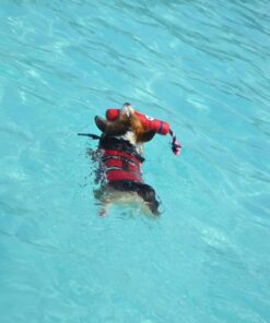 Paws Aboard Dog Life Jacket - Keep Your Canine Safe with a Neoprene Designer Life Vest - Perfect for Swimming and Boating - Red, Medium 25 61m4petqk1L