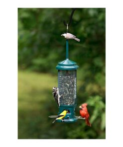Squirrel Buster Legacy Squirrel-proof Bird Feeder w/4 Metal Perches, 2.6-pound Seed Capacity garden green 19 61mAjXPO2RL