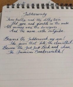 Zebra Comic G Model Chrome Pen Nib, 10 Nibs (1 Pack) (PG-6B-C-K) 1 Count (Pack of 1) 32 61mHmECNfcL