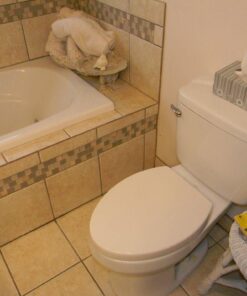 American Standard 5025A65G.020 TELESCOPING EL LUXURY SEAT WHT, White 21 61mJ1oqj3yL