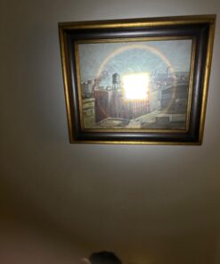 GearLight 2pack S1000 LED Flashlights High Lumens - Mini Flashlights for Camping, Hiking, Walking - Powerful Emergency Flashlights with 5 Modes for Outdoor Use - Bright Flashlight with Zoomable Beam 2 Pack 45 61mJmh7zD7L