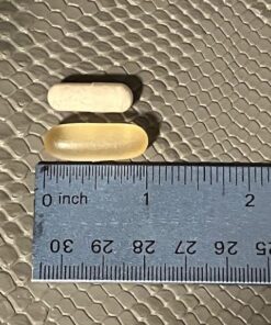 Dr. Tobias Omega 3 Fish Oil, 800 mg EPA 600 mg DHA Omega 3 Supplement for Heart, Brain & Immune Support, Absorbable Triple Strength Fish Oil Supplements - 2000 mg Per Serving, 180 Softgels 90 Servings 29 61mMZHh4GYL