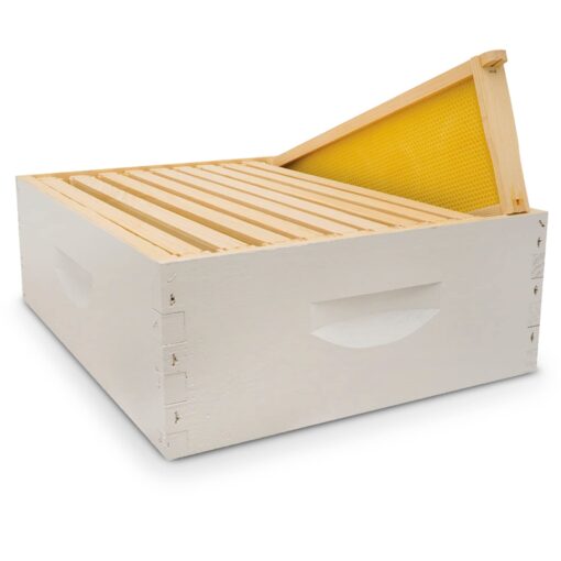 Mann Lake Hive Body Bundle, Assembled, 10-Frame, Painted, Beekeeping, Bee Box, Beekeeping Supplies, Harvest Honey, Includes 10 Assembled Frames w/Plastic Coated Foundation Assembled, Paint