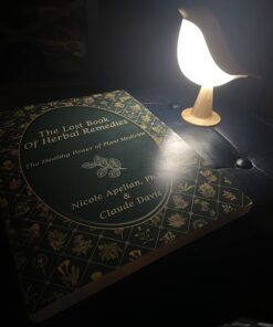 The Lost Book of Herbal Remedies 42 61mSsMbC1ZL