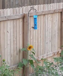 Perky-Pet 391 Metal Tube Wild Bird Feeder, Blue Sturdy 32 61mVfuq7WkL