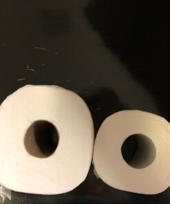 Cottonelle CleanCare Family Roll + Toilet Paper, Bath Tissue, 18 Toilet Paper Rolls 28 61mX4O2V73L