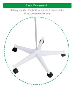 Giantex B010L18XEW Life Size 70.8" Human Anatomical Anatomy Skeleton Medical Model + Stand 33 61mZT3Nvc3L