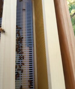 Mann Lake Bee-Pro Patties with Pro Health, Ready-to-Feed High Protein Pollen Substitute, Beekeeping Supplies, 10 lb 10 Pound (Pack of 1) 36 61mZoeSgEiL