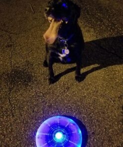 Nite Ize Flashflight LED Light Up Flying Disc Replaceable Batteries Blue 30 61mZvPIHw6L