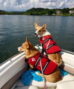 Paws Aboard Dog Life Jacket - Keep Your Canine Safe with a Neoprene Designer Life Vest - Perfect for Swimming and Boating - Red, Medium 31 61maGRDA2hL