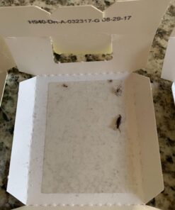 Harris Bed Bug Early Detection Glue Traps (4/Pack) 4 Traps 37 61mfFJHzrZL