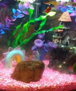 Zanyzap Pre-Filter Sponge 3 Pack for Fluval Edge Aquarium 24 61mgSCMTIaL