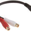 C2G Legrand RCA Male to RCA Female Signal Splitter Cable, Black RCA to RCA Splitter, 6 Inch Audio Stereo Y-Cable, 26 AWG Audio Signal Converter Cable, 1 Count, C2G 03177 0.5 Feet 53 61mhdiwFhsL