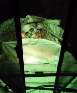 Fun Express Bag of Skeleton Bones - 28 Piece Set 23 61mjkQd0w7L