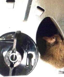 Ketch-All Mousetrap w/ Clear Lid 21 61mq9L54daL